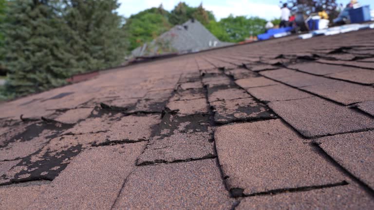 Best Roof Moss and Algae Removal  in Slater, MO