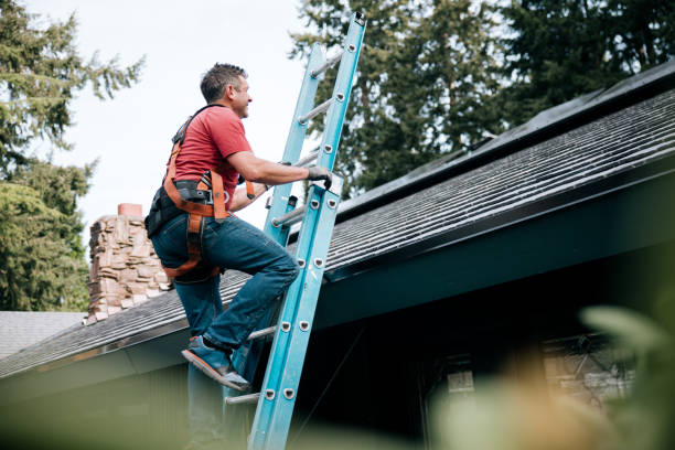 Best Storm Damage Roof Repair  in Slater, MO